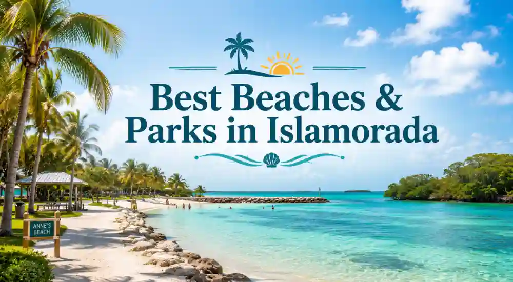 Best Beaches & Parks in Islamorada