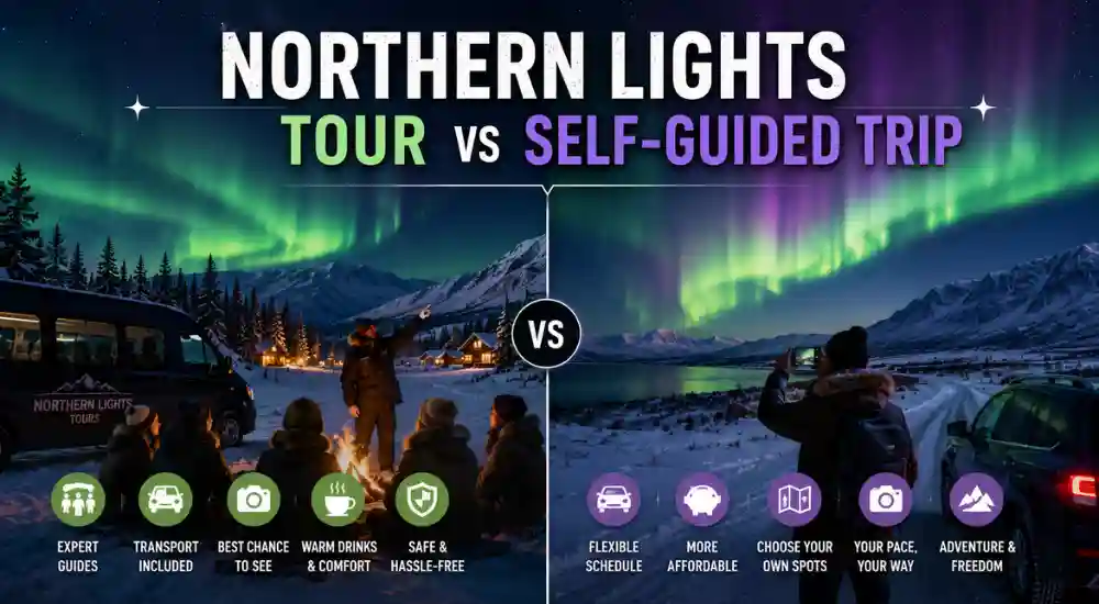 Northern Lights Tour vs Self-Guided Trip