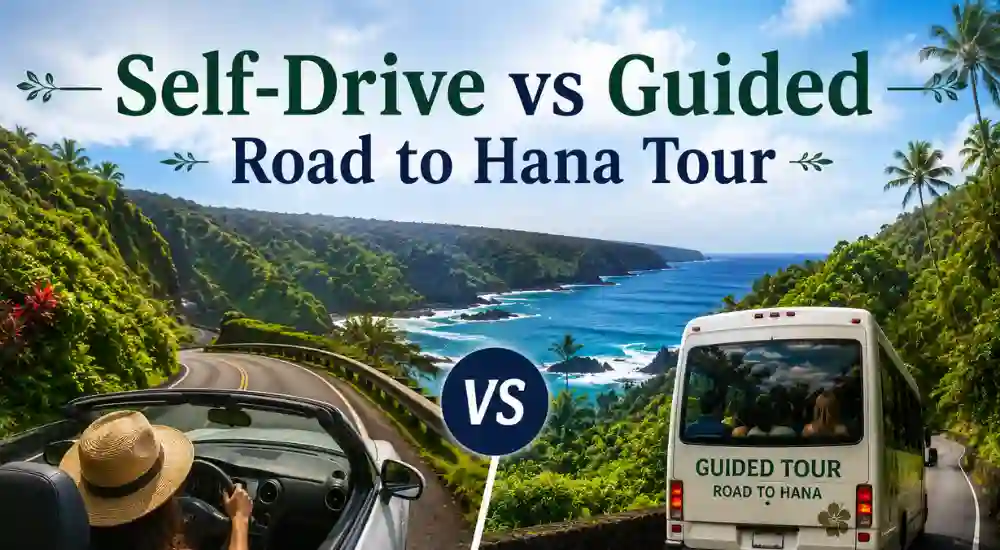 Self-Drive vs Guided Road to Hana Tour