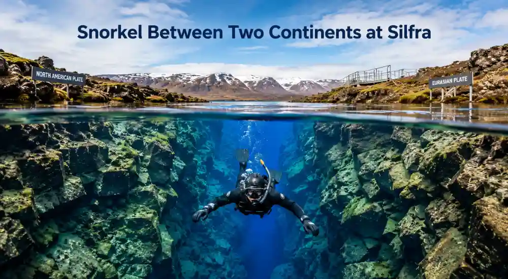 Snorkel Between Two Continents at Silfra