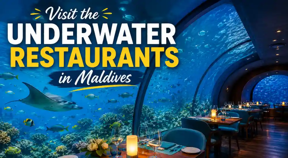 Visit the Underwater Restaurants in Maldives