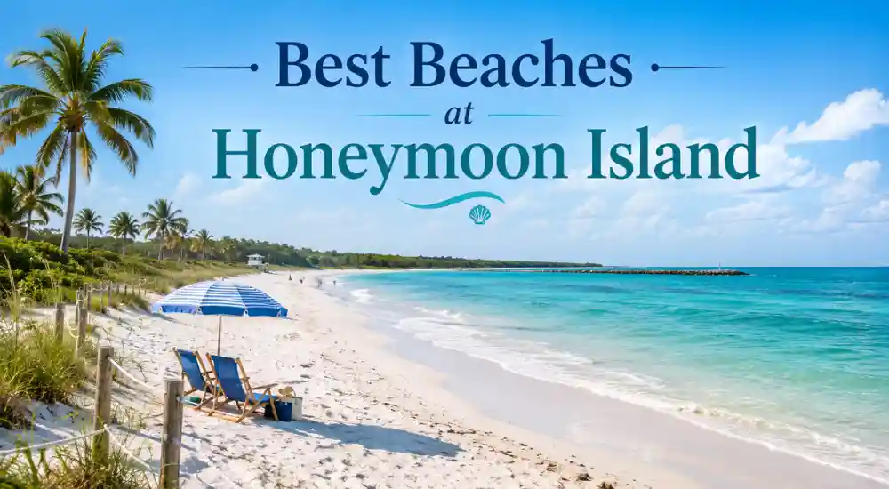 Best Beaches at Honeymoon Island