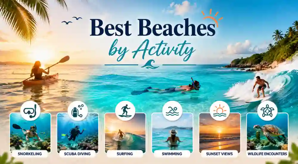 Best Beaches by Activity