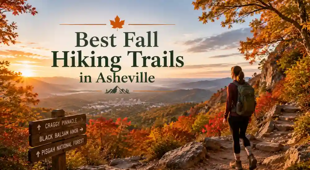 Best Fall Hiking Trails in Asheville