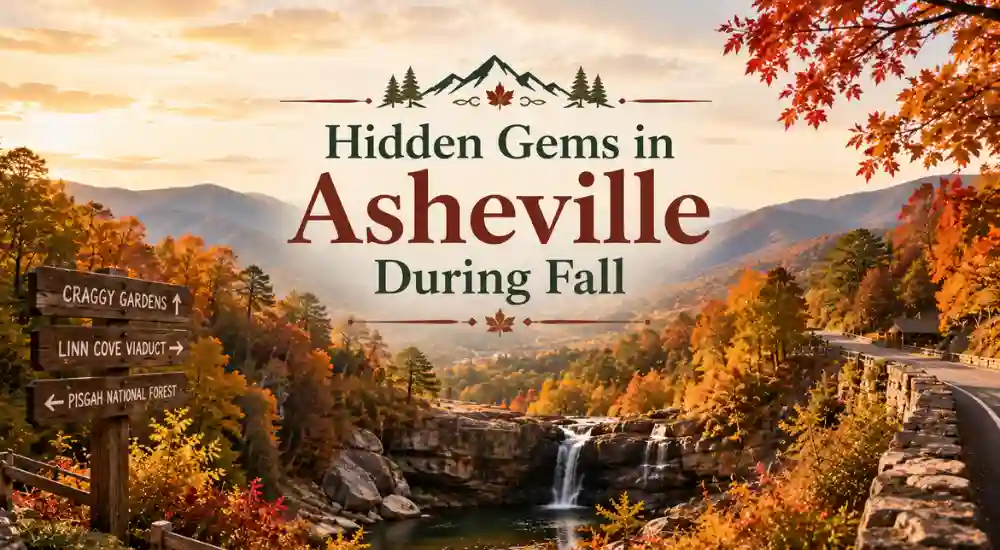 Hidden Gems in Asheville During Fall