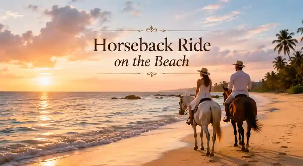 Horseback Ride on the Beach