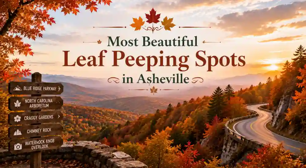 Most Beautiful Leaf Peeping Spots in Asheville