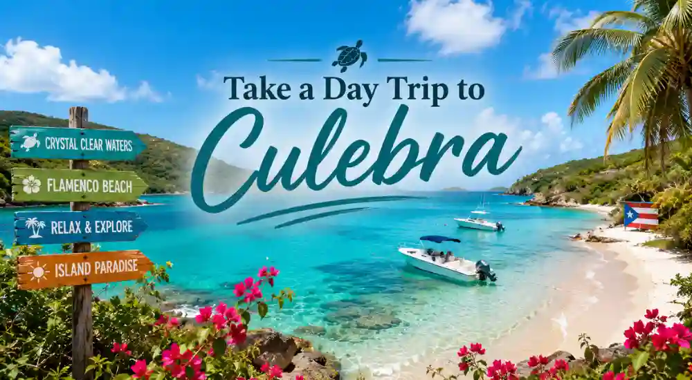 Take a Day Trip to Culebra