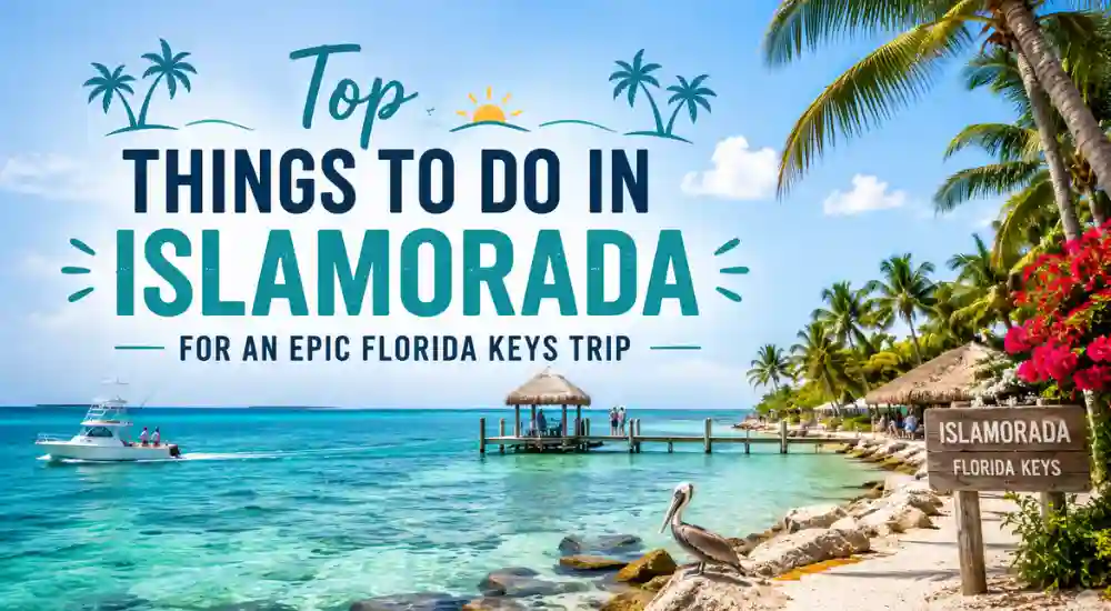 Top Things to Do in Islamorada for an Epic Florida Keys Trip