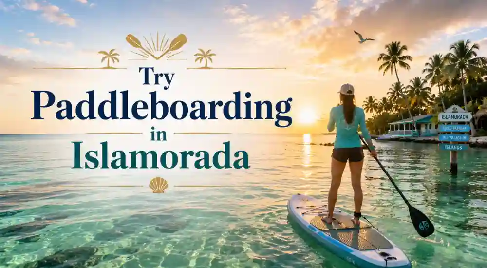 Try Paddleboarding in Islamorada