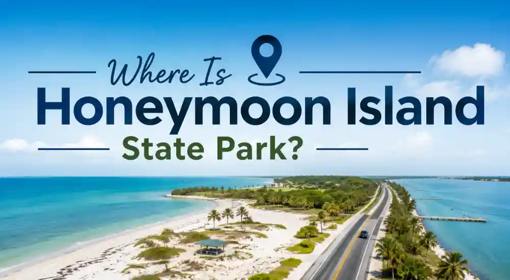 Where Is Honeymoon Island State Park