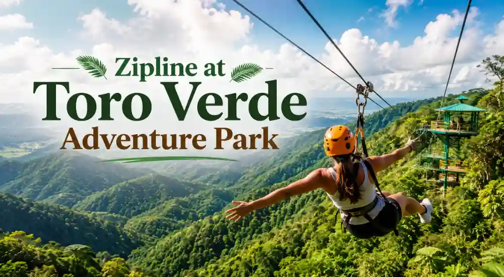 Zipline at Toro Verde Adventure Park