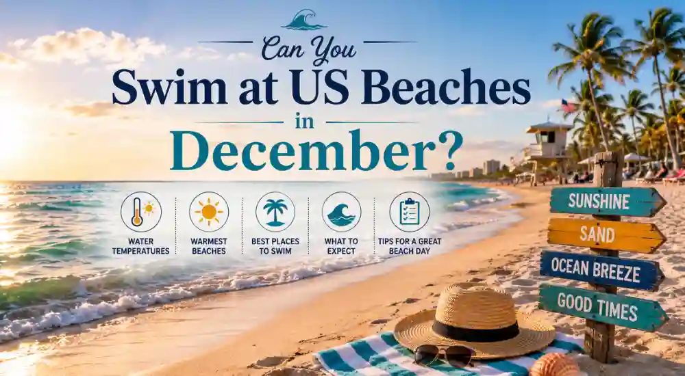 Can You Swim at US Beaches in December