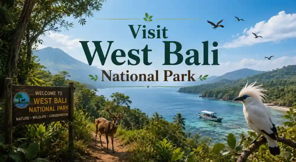 Visit West Bali National Park
