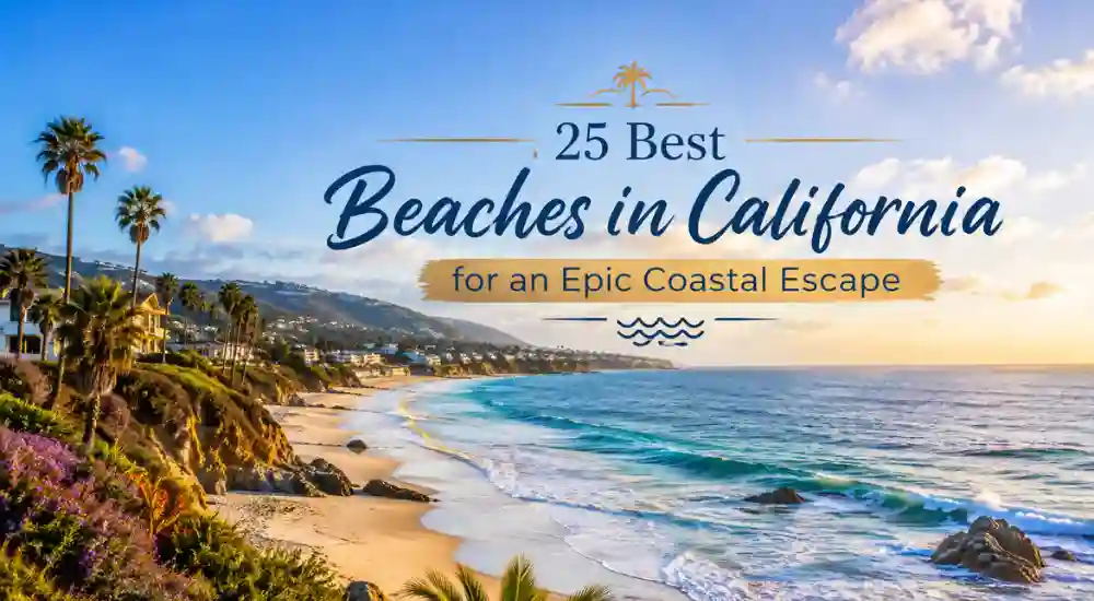 25 Best Beaches in California for an Epic Coastal Escape