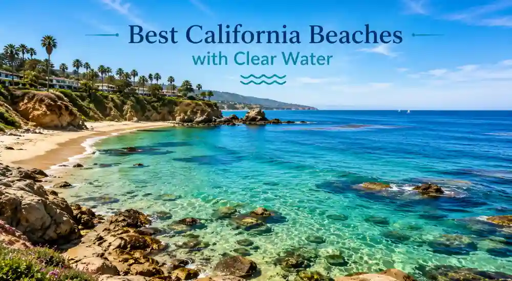 Best California Beaches with Clear Water