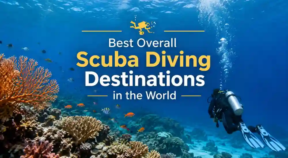 Best Overall Scuba Diving Destinations in the World