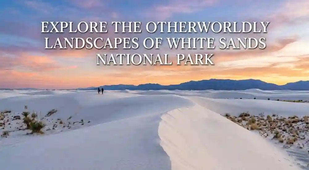 Explore the Otherworldly Landscapes of White Sands National Park