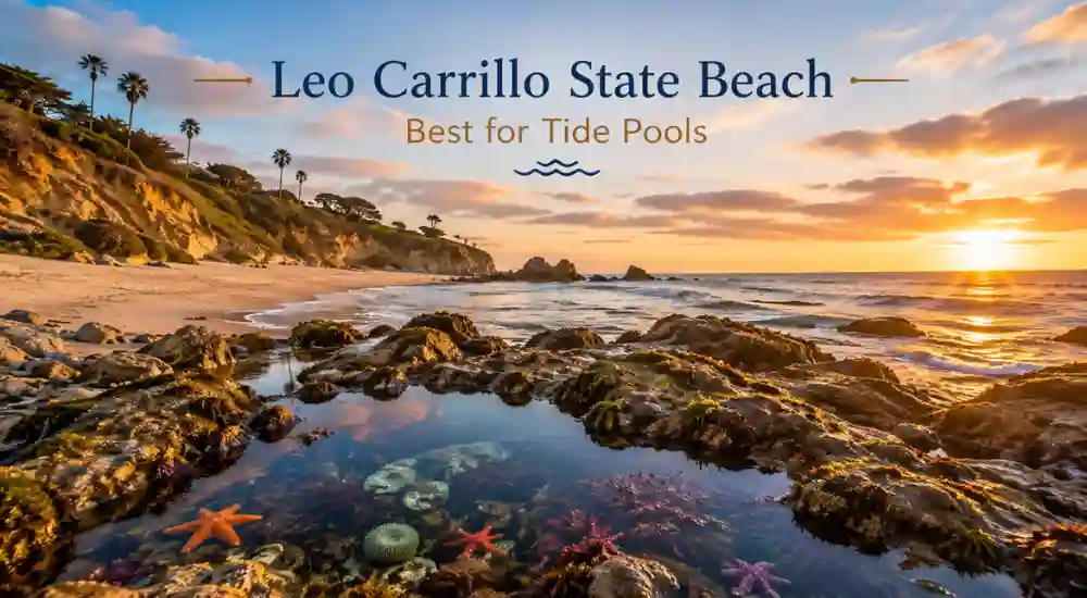 Leo Carrillo State Beach — Best for Tide Pools