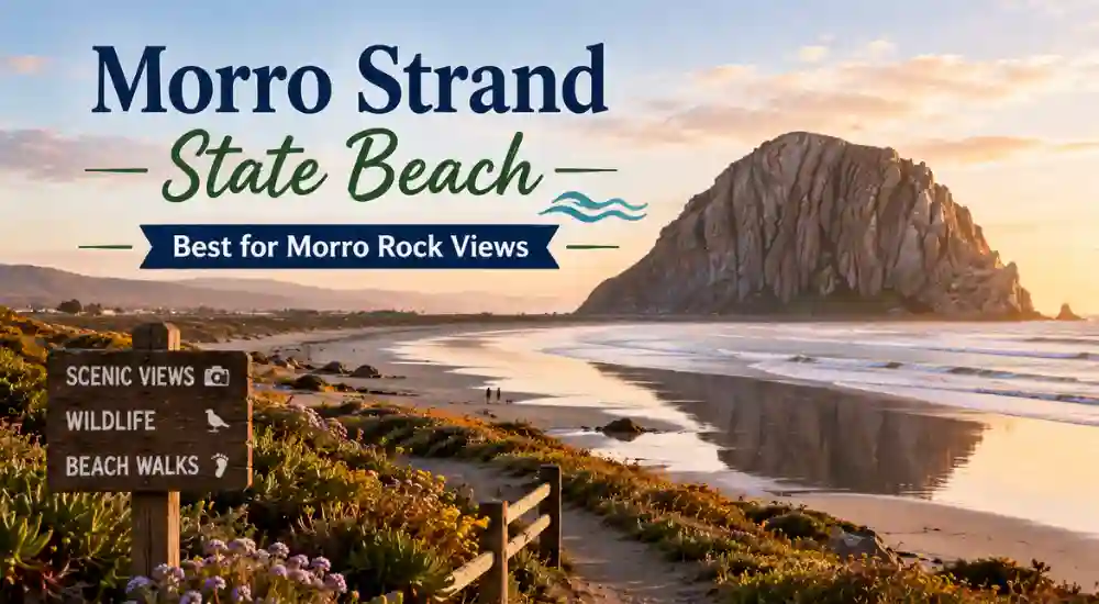 Morro Strand State Beach — Best for Morro Rock Views