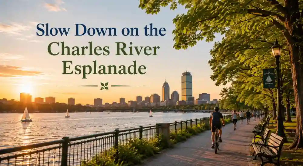 Slow Down on the Charles River Esplanade