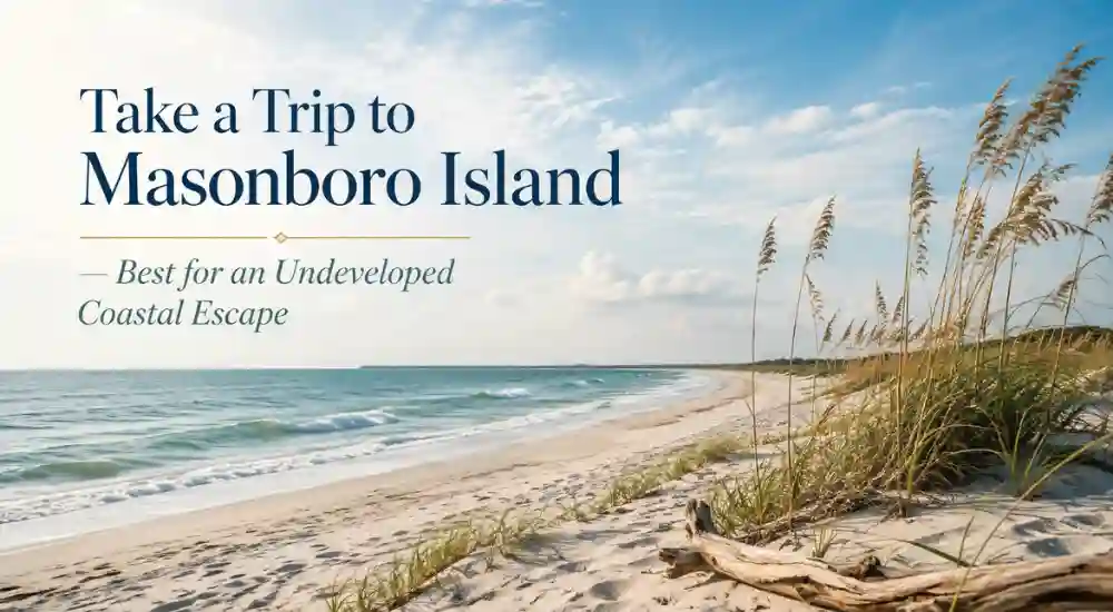 Take a Trip to Masonboro Island — Best for an Undeveloped Coastal Escape
