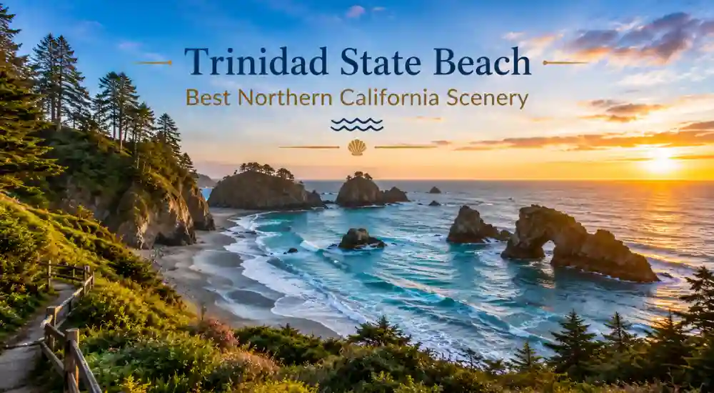 Trinidad State Beach — Best Northern California Scenery