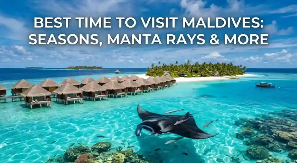 Best Time to Visit Maldives_ Seasons, Manta Rays & More