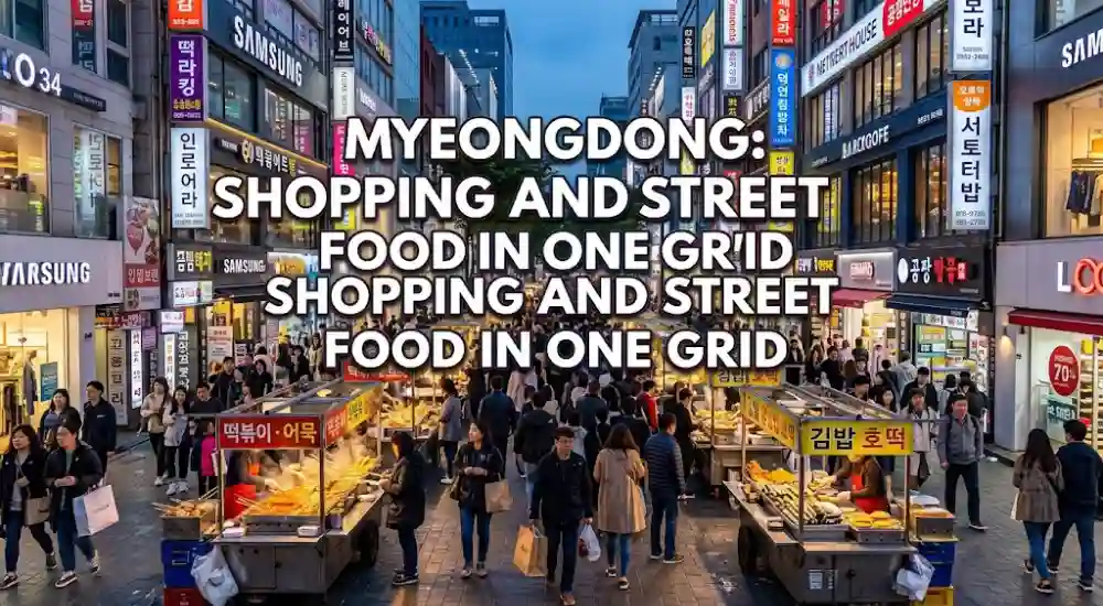 Myeongdong_ Shopping and Street Food in One Grid