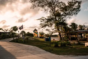 Scenic Belize coastal road at sunrise with palm trees