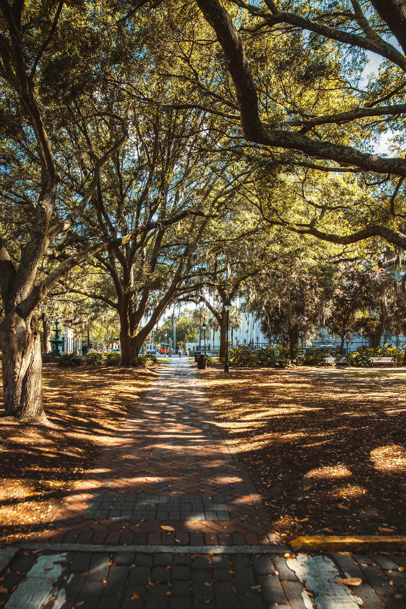 Tree-lined path in a Savannah square, representing the best areas to stay for luxury travelers