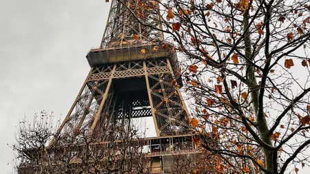 Eiffel Tower surrounded by golden autumn trees in Paris