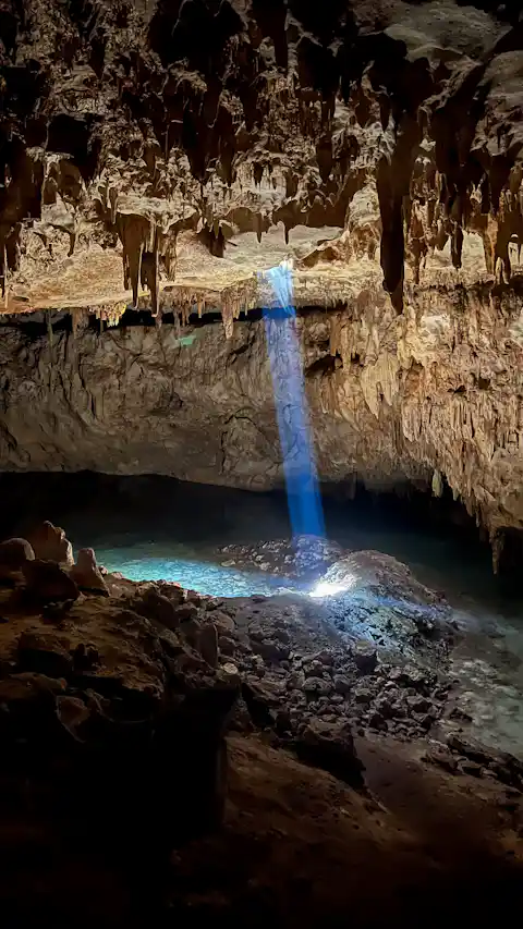 Clear blue water at a Tulum cenote, unaffected by sargassum